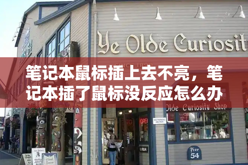 笔记本鼠标插上去不亮，笔记本插了鼠标没反应怎么办