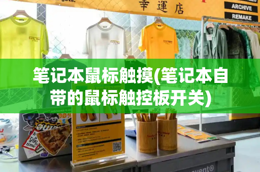 笔记本鼠标触摸(笔记本自带的鼠标触控板开关)
