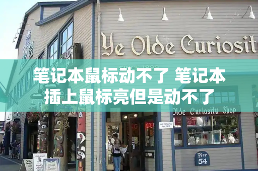 笔记本鼠标动不了 笔记本插上鼠标亮但是动不了
