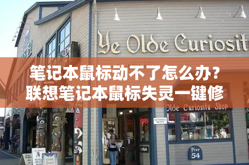 笔记本鼠标动不了怎么办？联想笔记本鼠标失灵一键修复-第1张图片-星选测评