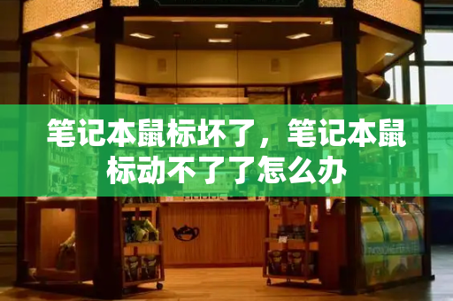 笔记本鼠标坏了，笔记本鼠标动不了了怎么办