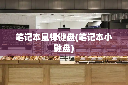笔记本鼠标键盘(笔记本小键盘)