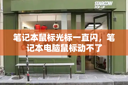 笔记本鼠标光标一直闪，笔记本电脑鼠标动不了-第1张图片-星选测评