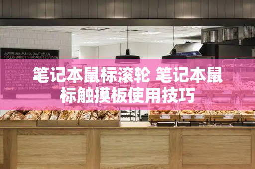 笔记本鼠标滚轮 笔记本鼠标触摸板使用技巧-第1张图片-星选测评