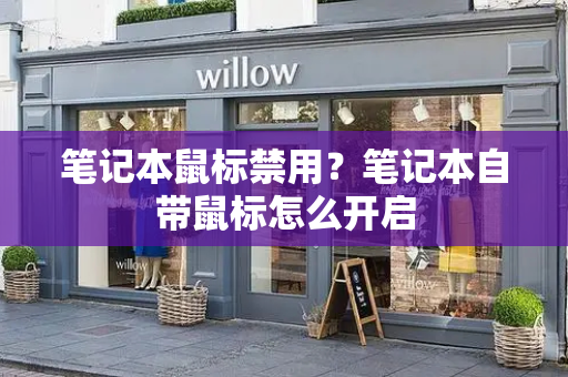 笔记本鼠标禁用？笔记本自带鼠标怎么开启