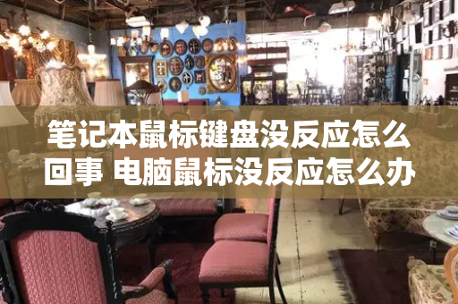 笔记本鼠标键盘没反应怎么回事 电脑鼠标没反应怎么办-第1张图片-星选测评