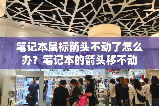 笔记本鼠标箭头不动了怎么办？笔记本的箭头移不动