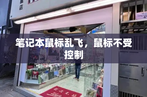 笔记本鼠标乱飞，鼠标不受控制