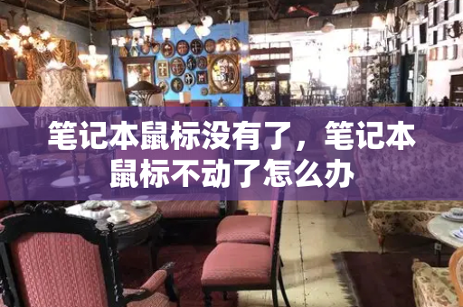 笔记本鼠标没有了，笔记本鼠标不动了怎么办