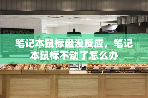 笔记本鼠标盘没反应，笔记本鼠标不动了怎么办