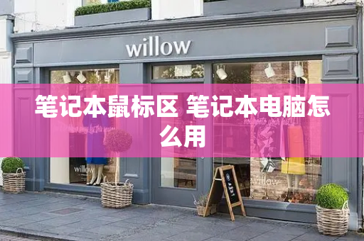 笔记本鼠标区 笔记本电脑怎么用