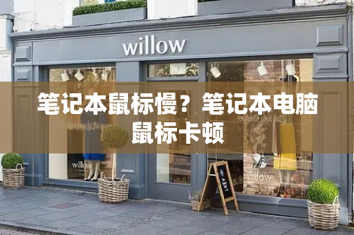 笔记本鼠标慢？笔记本电脑鼠标卡顿