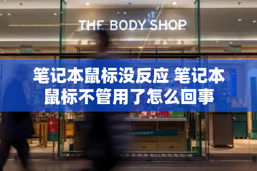 笔记本鼠标没反应 笔记本鼠标不管用了怎么回事
