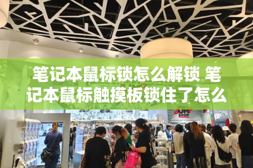 笔记本鼠标锁怎么解锁 笔记本鼠标触摸板锁住了怎么解锁
