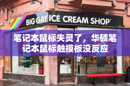 笔记本鼠标失灵了，华硕笔记本鼠标触摸板没反应