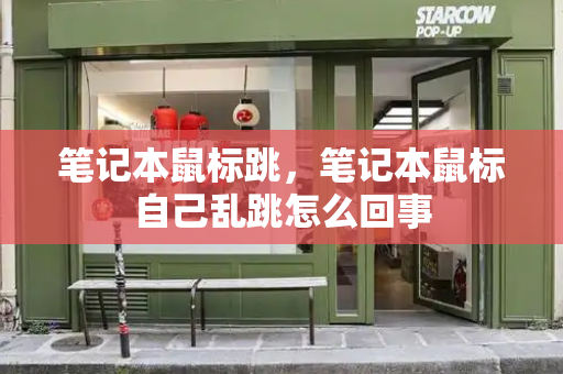 笔记本鼠标跳，笔记本鼠标自己乱跳怎么回事