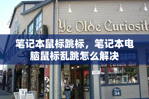 笔记本鼠标跳标，笔记本电脑鼠标乱跳怎么解决