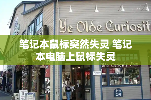 笔记本鼠标突然失灵 笔记本电脑上鼠标失灵