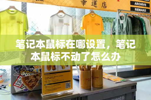 笔记本鼠标在哪设置，笔记本鼠标不动了怎么办