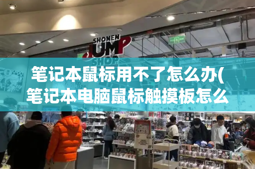 笔记本鼠标用不了怎么办(笔记本电脑鼠标触摸板怎么使用)