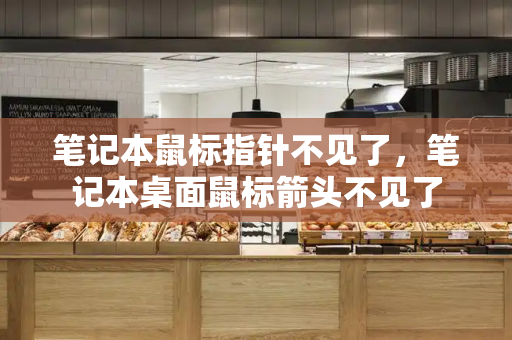 笔记本鼠标指针不见了，笔记本桌面鼠标箭头不见了