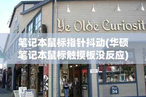 笔记本鼠标指针抖动(华硕笔记本鼠标触摸板没反应)-第1张图片-星选测评