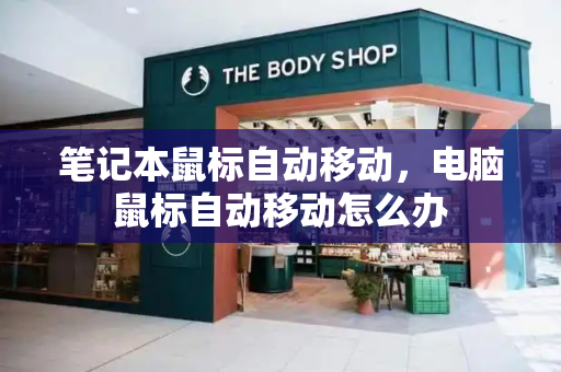 笔记本鼠标自动移动，电脑鼠标自动移动怎么办