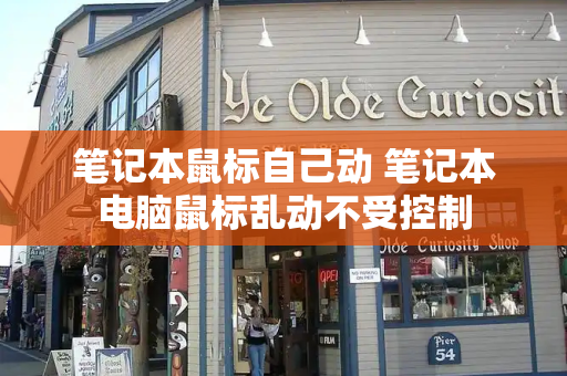 笔记本鼠标自己动 笔记本电脑鼠标乱动不受控制
