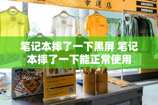 笔记本摔了一下黑屏 笔记本摔了一下能正常使用-第1张图片-星选测评