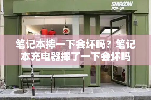 笔记本摔一下会坏吗？笔记本充电器摔了一下会坏吗-第1张图片-星选测评