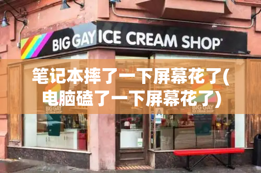 笔记本摔了一下屏幕花了(电脑磕了一下屏幕花了)-第1张图片-星选测评