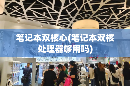 笔记本双核心(笔记本双核处理器够用吗)