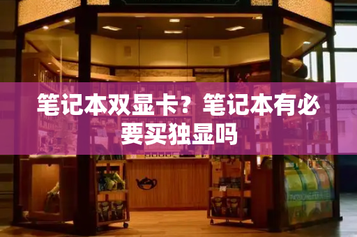 笔记本双显卡？笔记本有必要买独显吗-第1张图片-星选测评