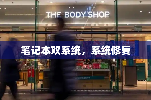 笔记本双系统，系统修复-第1张图片-星选测评