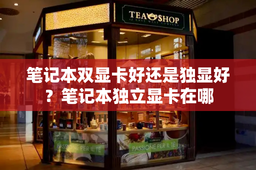 笔记本双显卡好还是独显好？笔记本独立显卡在哪-第1张图片-星选测评