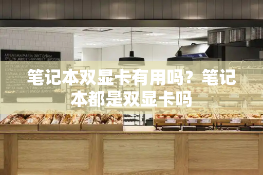 笔记本双显卡有用吗？笔记本都是双显卡吗