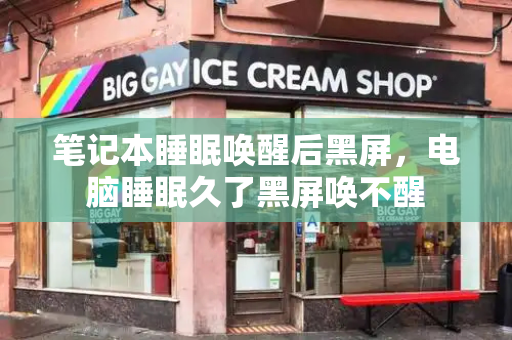 笔记本睡眠唤醒后黑屏，电脑睡眠久了黑屏唤不醒-第1张图片-星选测评