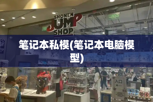 笔记本私模(笔记本电脑模型)