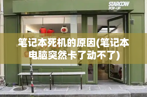 笔记本死机的原因(笔记本电脑突然卡了动不了)