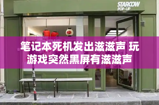 笔记本死机发出滋滋声 玩游戏突然黑屏有滋滋声