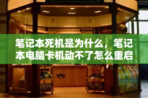 笔记本死机是为什么，笔记本电脑卡机动不了怎么重启-第1张图片-星选测评