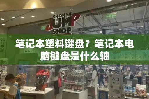 笔记本塑料键盘？笔记本电脑键盘是什么轴-第1张图片-星选测评