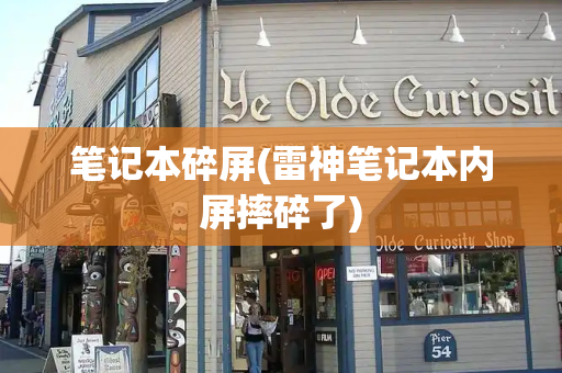 笔记本碎屏(雷神笔记本内屏摔碎了)-第1张图片-星选测评
