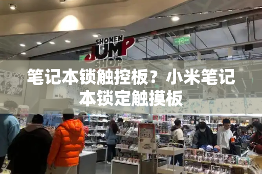 笔记本锁触控板？小米笔记本锁定触摸板-第1张图片-星选测评