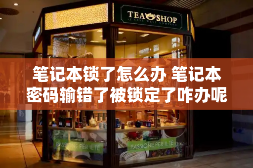笔记本锁了怎么办 笔记本密码输错了被锁定了咋办呢-第1张图片-星选测评