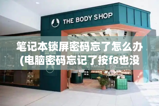 笔记本锁屏密码忘了怎么办(电脑密码忘记了按f8也没用)-第1张图片-星选测评
