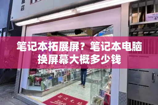 笔记本拓展屏？笔记本电脑换屏幕大概多少钱