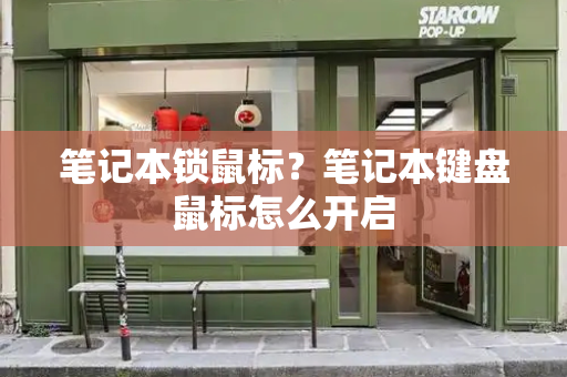 笔记本锁鼠标？笔记本键盘鼠标怎么开启