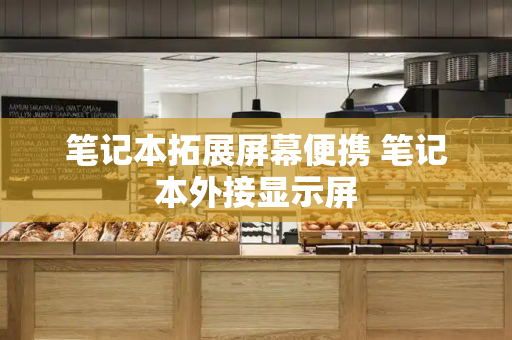 笔记本拓展屏幕便携 笔记本外接显示屏-第1张图片-星选测评
