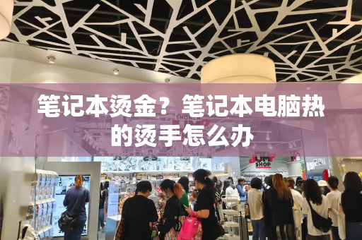 笔记本烫金？笔记本电脑热的烫手怎么办-第1张图片-星选测评